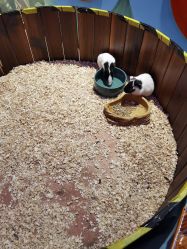 -宝燕乐园(闵行旗舰店)