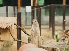 -大连森林动物园