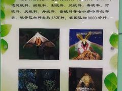 -上海昆虫博物馆