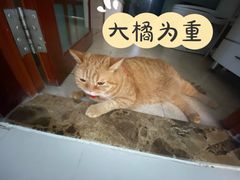 -一间摄影工作室(天安云谷店)