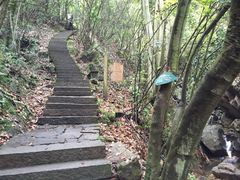 -千岛湖王子谷漂流