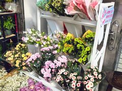 -溪岸路花鸟市场