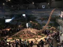 -自贡恐龙博物馆