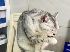 -艾贝尔宠物医院·狂犬免疫点(江山金象城店)