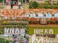 -盈香心动乐园
