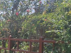 -桤木河湿地公园