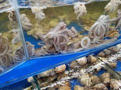 -天隆酒店·本地海鲜鲁菜(烟台大学店)