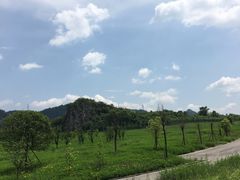 -南山植物园