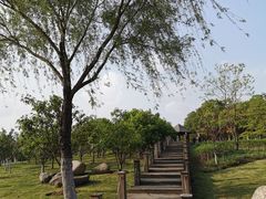 -安徽大学(磬苑校区)