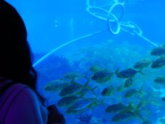 -海合安成都极地海洋公园