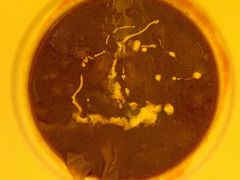 -成桂西餐厅·42年的味道(五大道疙瘩楼店)