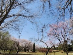 -长春公园(普阳街道)