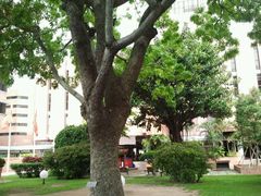 -香港理工大学