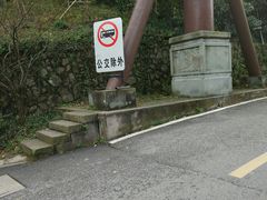 -龙井村
