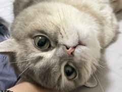 -美联众合动物医院·24h转诊中心