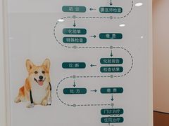-瑞派康怡24h宠物医院·犬猫医疗中心·微创绝育(瑞景分院)
