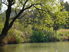 -烟水渔庄餐厅(西溪湿地店)
