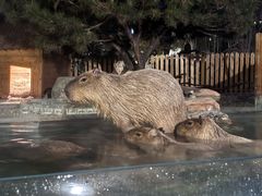 -郑州银基黄帝宫御温泉