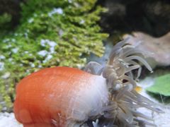 -东南花都花博园