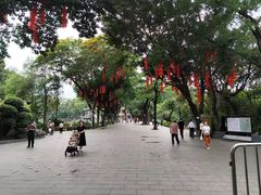 -荔湾湖公园