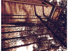 -上海市控江中学