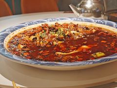 -新概念来凤鱼(璧山店)