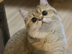 -宠颐生嘉德动物医院