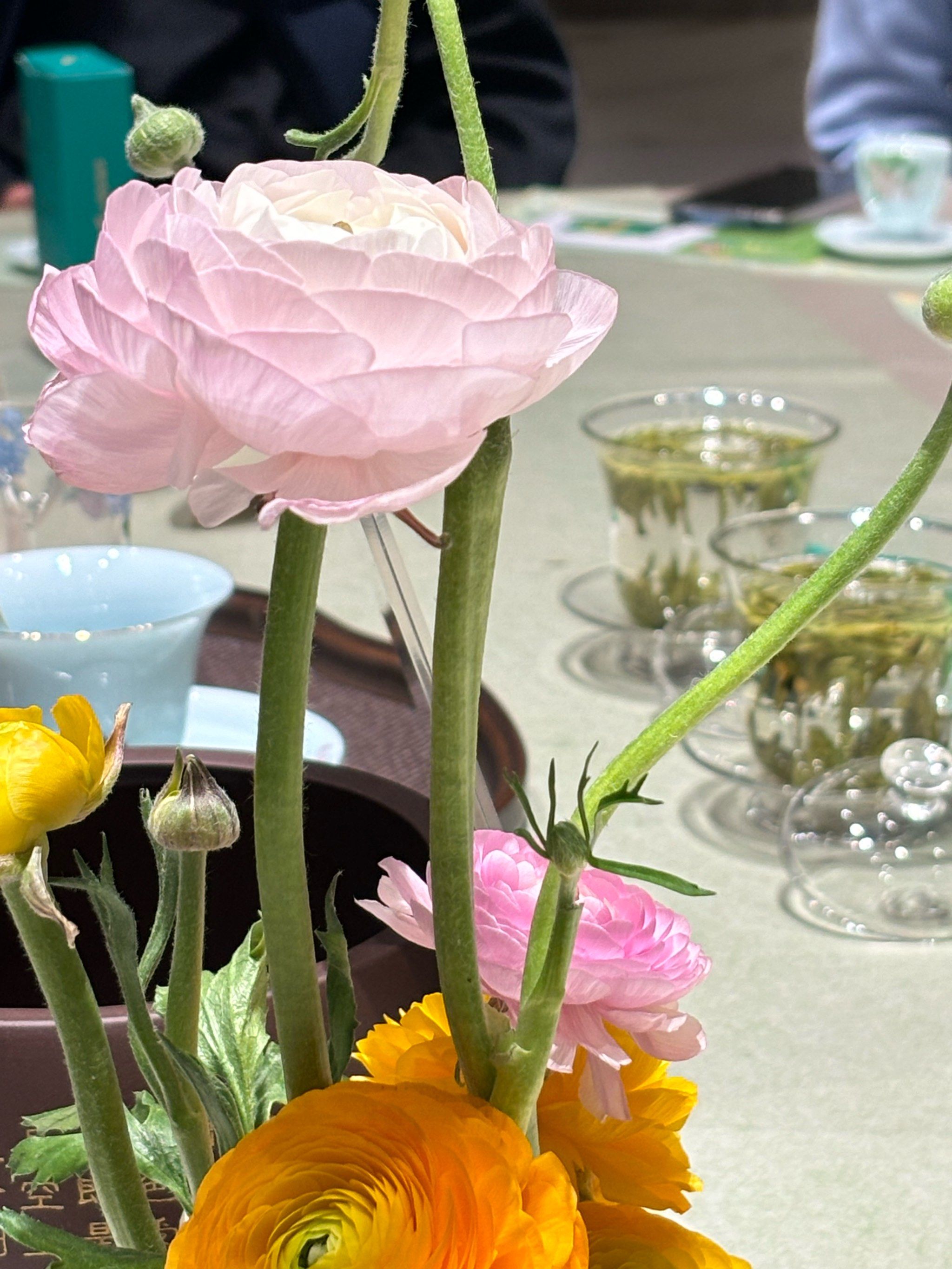 别样的茶艺,心情也美丽