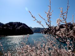 -北京凤凰岭