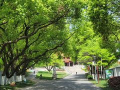 -太子山公园(园东路)