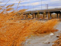 -永定河休闲森林公园