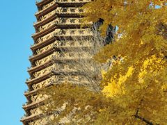 -玲珑塔公园