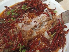 -杨氏青龙虾·羊蝎子(珠江路店)