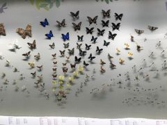 -香港科学馆