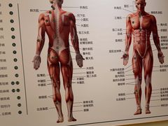 -通透堂中医·精准推拿(万科云城分院)