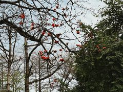 -英雄广场