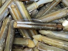 -海味当家·蒸锅海鲜(星海公园店)