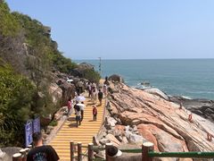 -广东惠东海龟国家级自然保护区