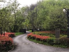 -木守西溪溪隐餐厅