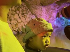 -寻龙山风景旅游区