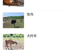 -哈尔滨北方森林动物园