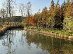 -上海浦江郊野公园-4号停车场