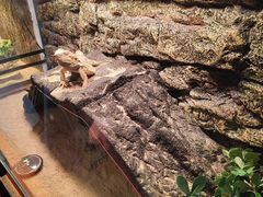 -秦皇岛新澳海底世界