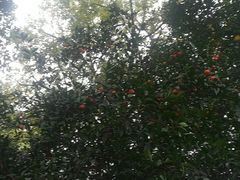 -威海华夏城景区