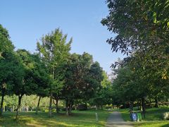 -两河城市森林公园