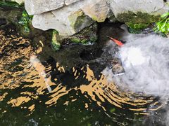 -西林禅寺