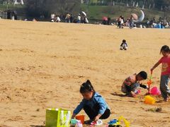 -瑶湖郊野森林公园