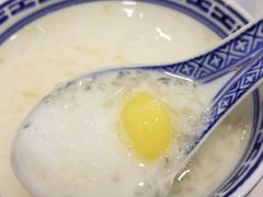 -大中鱼翅 Taitong Shark Fin