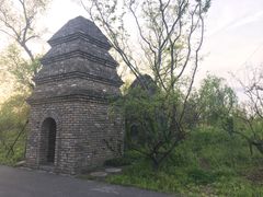 -广富林郊野公园