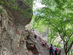 -北京上方山国家森林公园